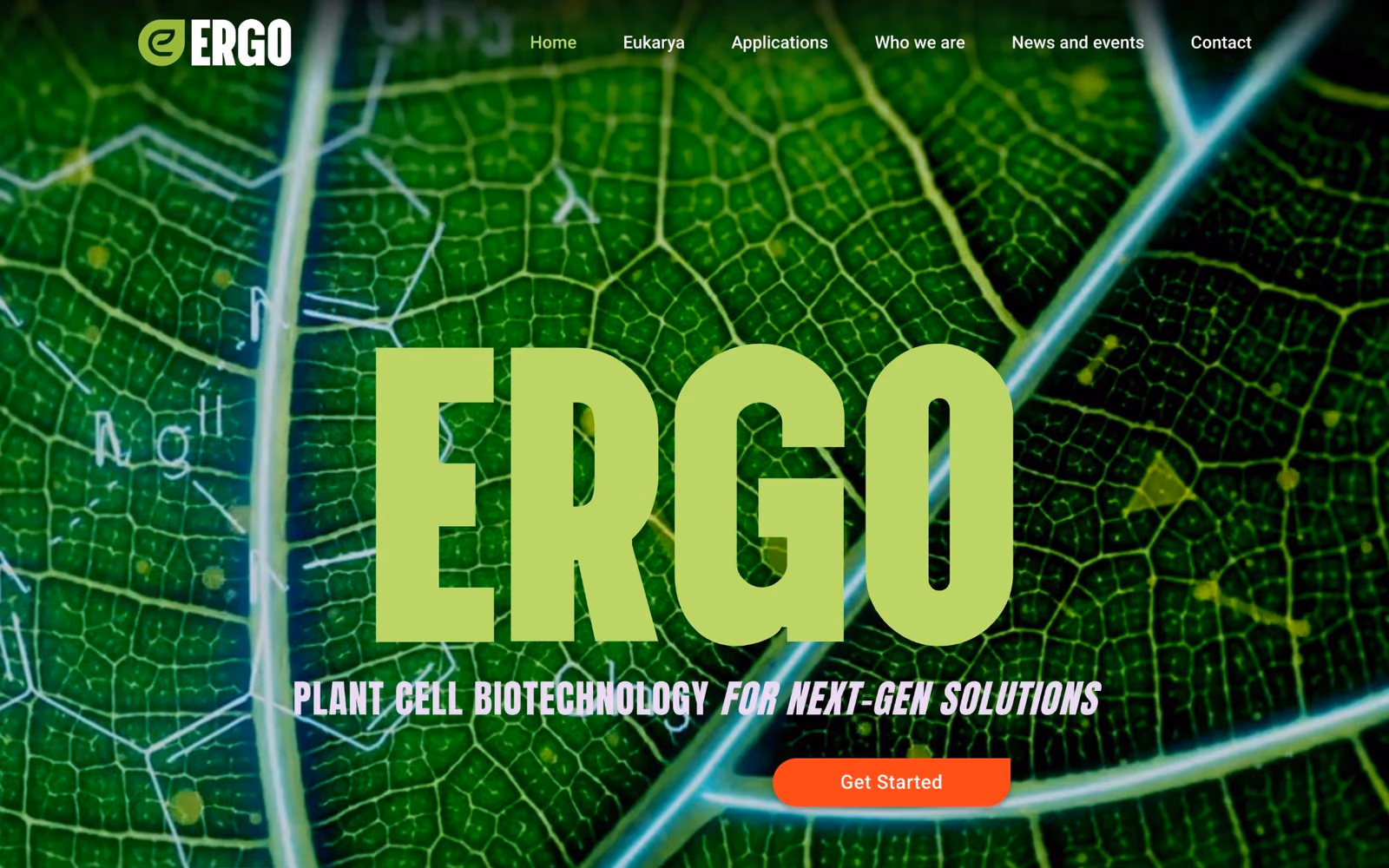 ERGO Foods website